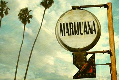 A sepia toned image of silhouetted palm trees next to a vintage sign with word, Marijuana, on it with a metal arrow pointing down and to the right 