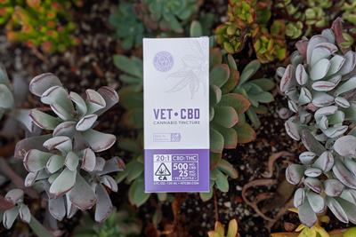 VETCBD product lying on top of an array of succulents.